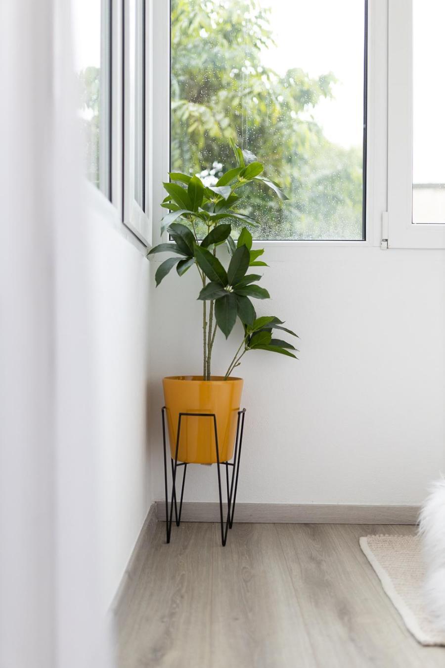 Lola'S Studio Brašov Exteriér fotografie